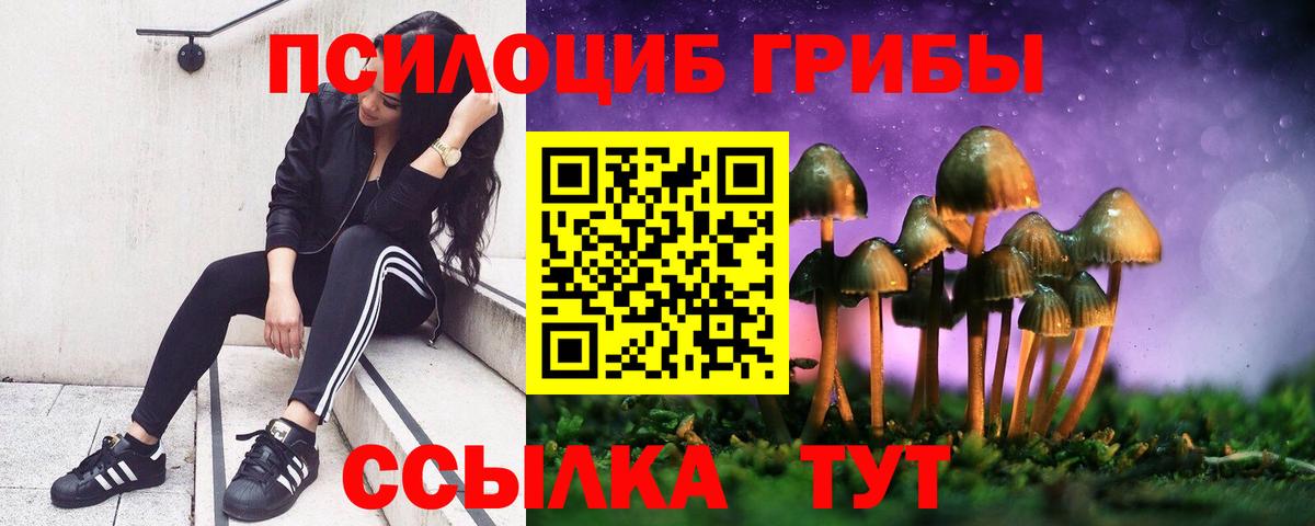 Галлюциногенные грибы MAGIC MUSHROOMS Озёрск