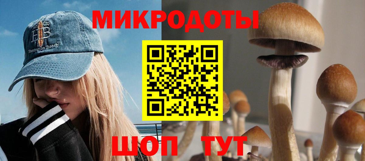 Озёрск  где продают наркотики  Вход с VPN  Галлюциногенные грибы мицелий  Галлюциногенные грибы прущие грибы 